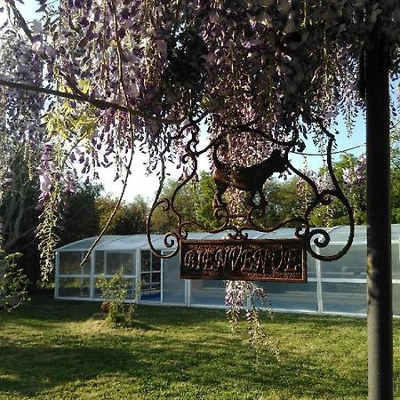 La Ferme Du Bien Etre Panzió Athée-sur-Cher Kültér fotó